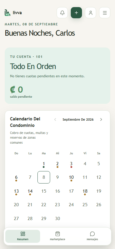 Resumen de Livva en el celular